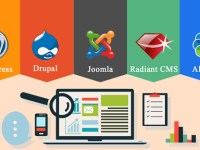 What is Content Management System (CMS) and How It&nbsp;Works?